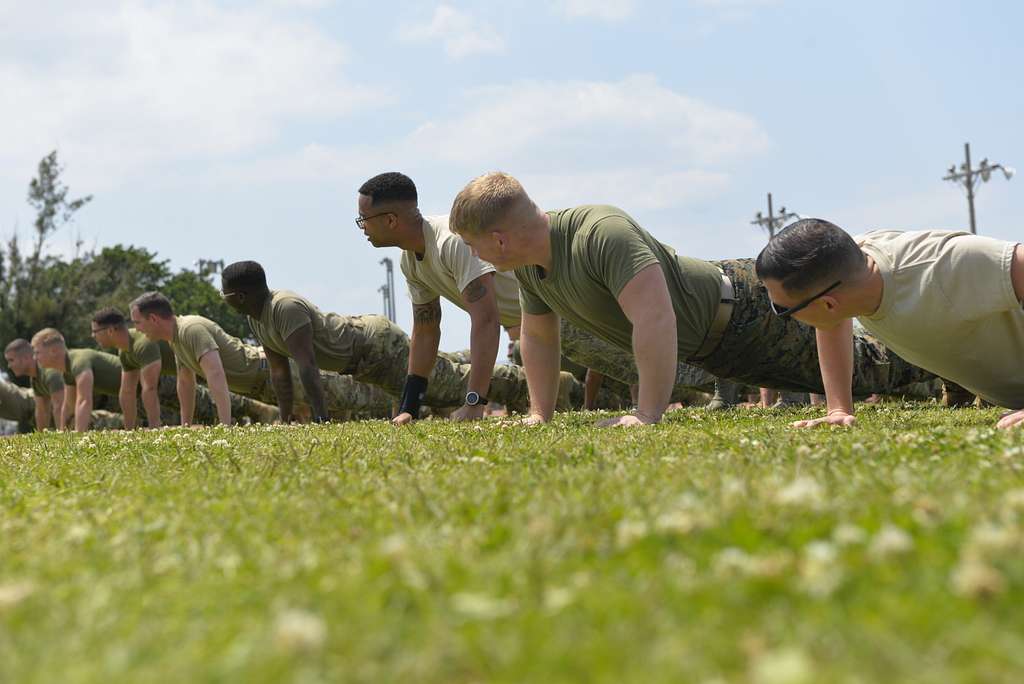 Servicemembers from all branches participate in a fitness - PICRYL ...