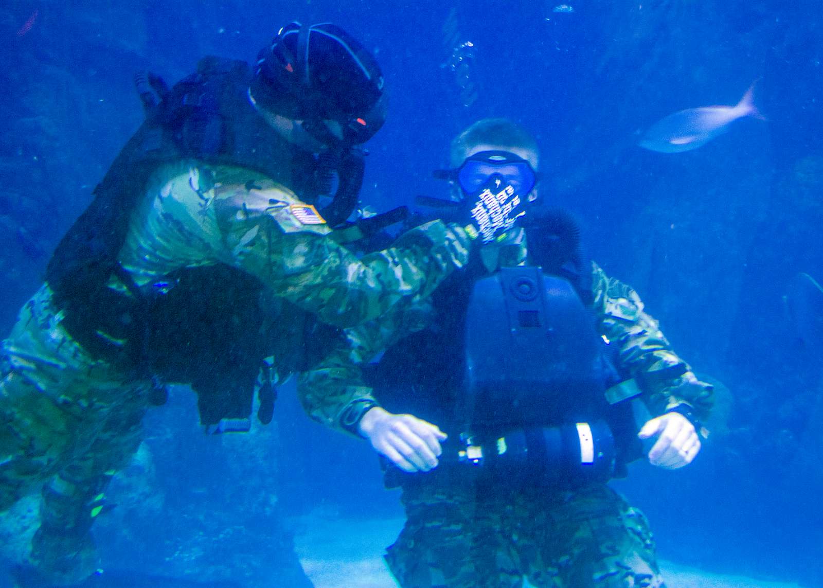 Divers From 10th Special Forces Group (Airborne) With - NARA & DVIDS ...