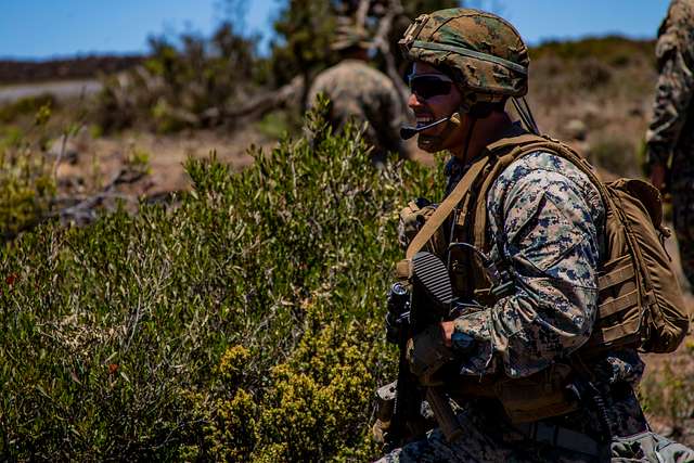 U.S. Marine Corps Sgt. Gabriel Hernandez, squad leader, - PICRYL Public ...