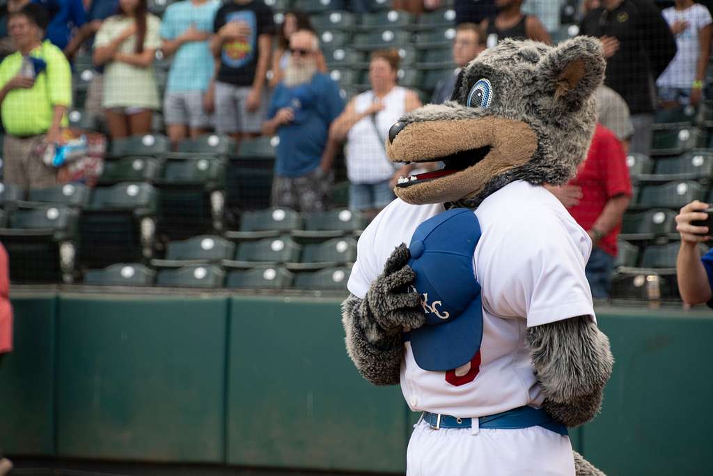 DVIDS - Images - Oklahoma City Dodgers Minor League Baseball Team's  Military Appreciation Night [Image 13 of 20]