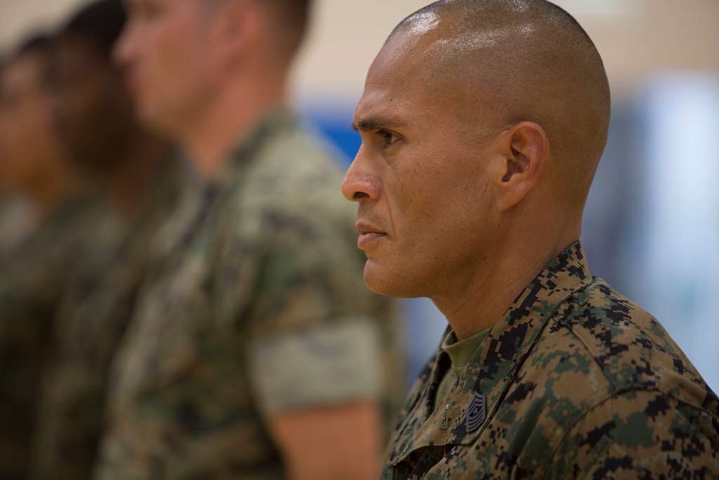 U.S. Marine Sgt. Maj. Carlos A. Reina, current Senior - PICRYL