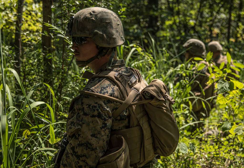 cdn2./photo/2019/08/03/us-marine-corps-s