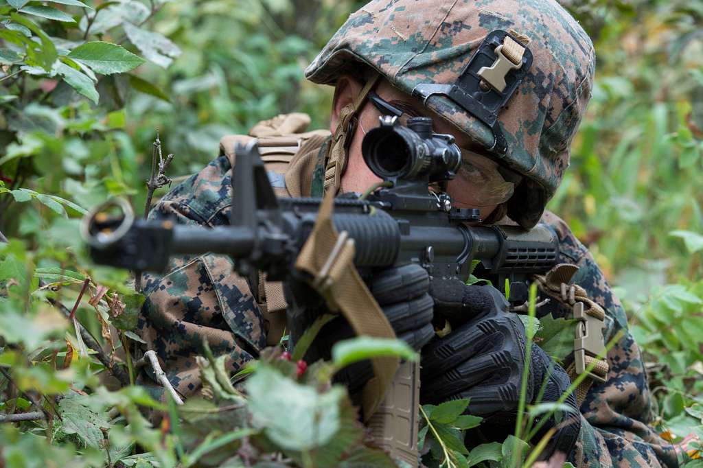 A U.S. Marine Corps infantry rifleman assigned to the - NARA & DVIDS ...