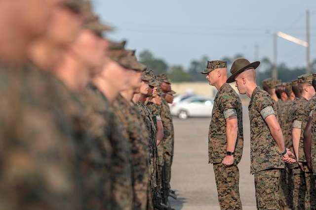 Lt. Col. Michael L. Halligan, 3rd Recruit Training - PICRYL Public ...