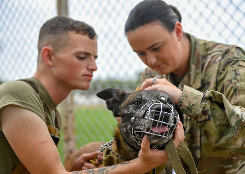 U.S. Army PFC Michaela Wilcox, Joint Base Langley-Eustis - NARA & DVIDS ...