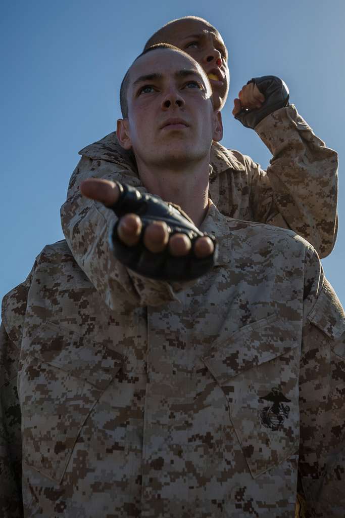 A recruit from Mike Company, 3rd Recruit Training Battalion, applies a choke  hold during a Marine Corps Martial Arts Program test at Marine Corps  Recruit Depot San Diego, July 20. The recruits