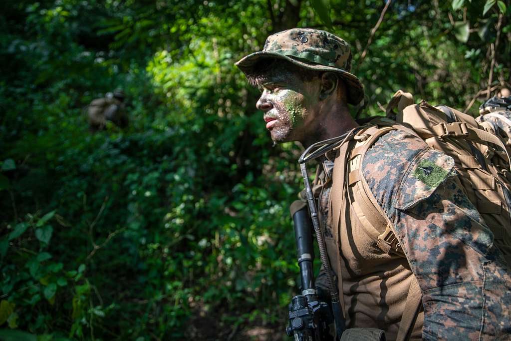 U.S. Marine Corps Cpl. Tony Todd, a rifleman with Alpha - PICRYL - Public  Domain Media Search Engine Public Domain Search