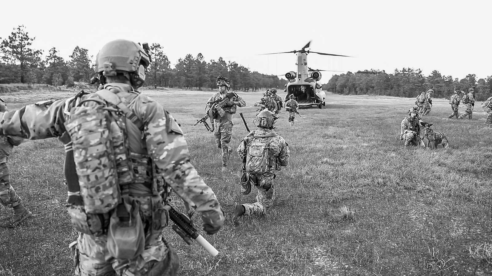 Green Berets, Assigned To 3rd Special Forces Group - NARA & DVIDS ...