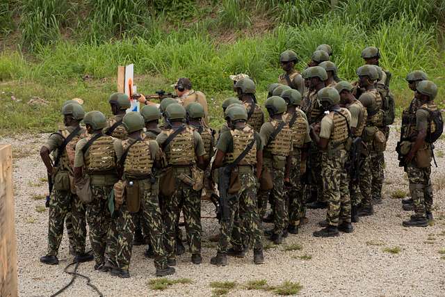 A Green Beret assigned to 3rd Special Forces Group - PICRYL - Public ...