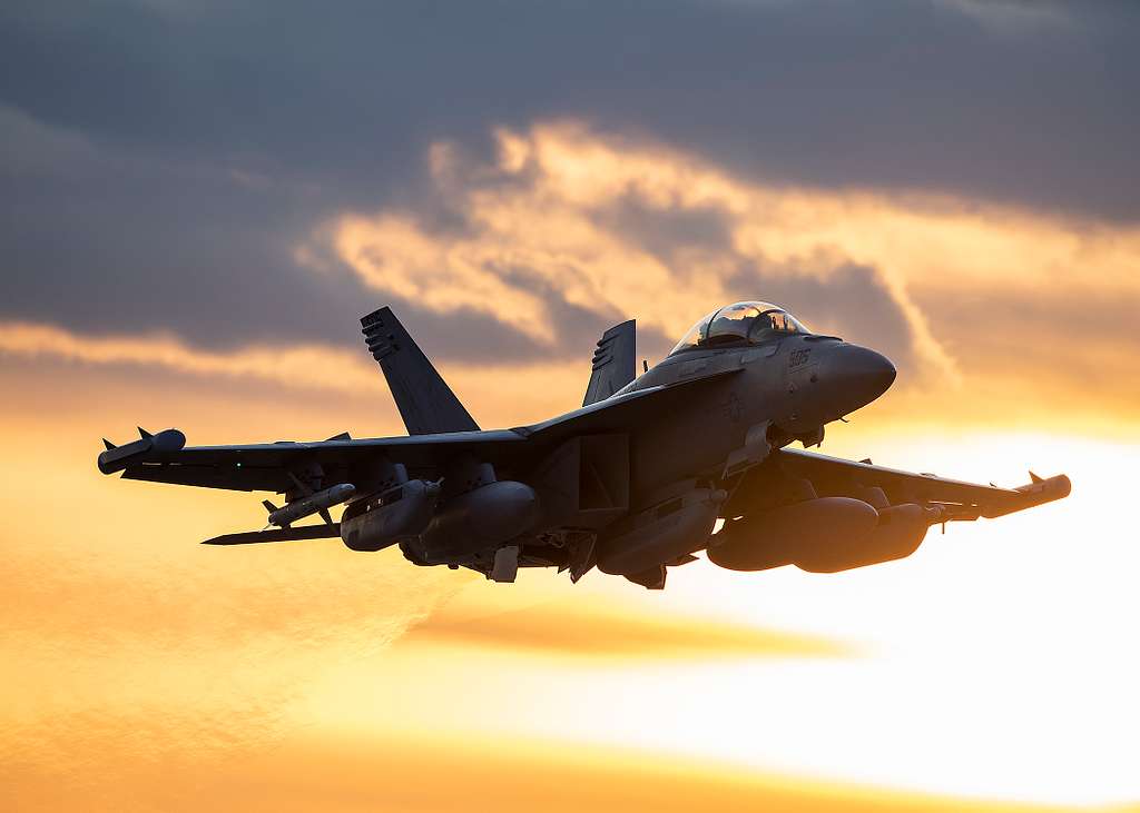 An U.S. Navy EA-18G Growler fighter jet assigned to - PICRYL