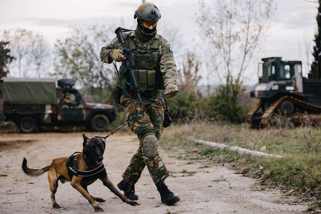 A Greek Soldier Assigned To The 71st Air Mobile Brigade - Nara & Dvids 