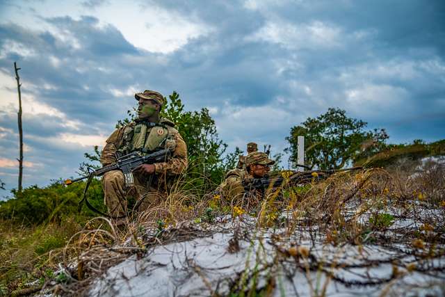 Three phases of U.S. Army Ranger School - PICRYL Public Domain Search