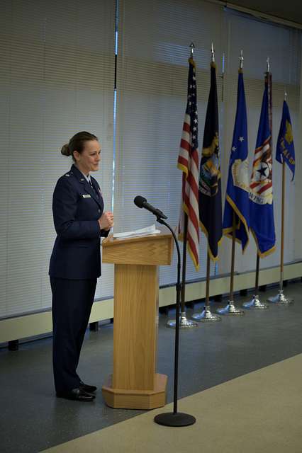 Lt. Col. Janice Davis assumes command of the 110th - PICRYL - Public ...