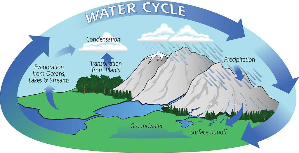 Diagram Of The Water Cycle Image Courtesy Of Nasa Picryl Public