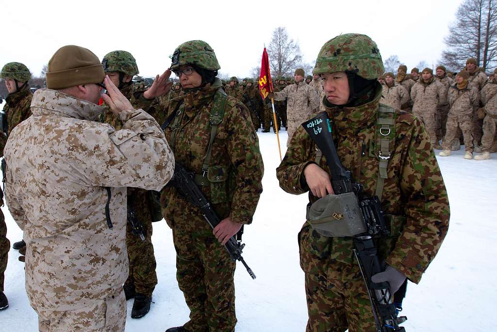 U.S. Marine Corps Lt. Col. Clinton Cummings, the battalion - PICRYL ...