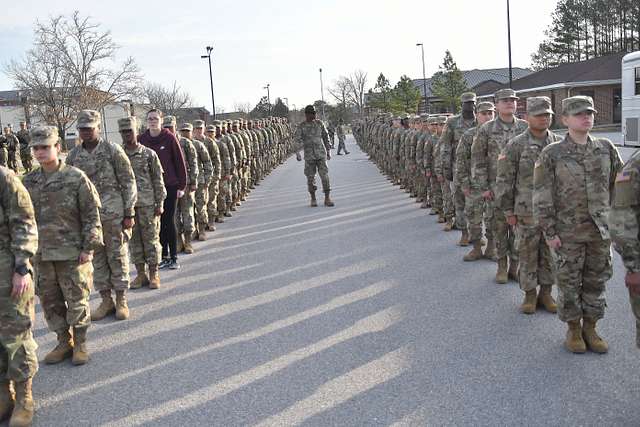 Golf Company, 244th Quartermaster Battalion drill sergeants - NARA ...