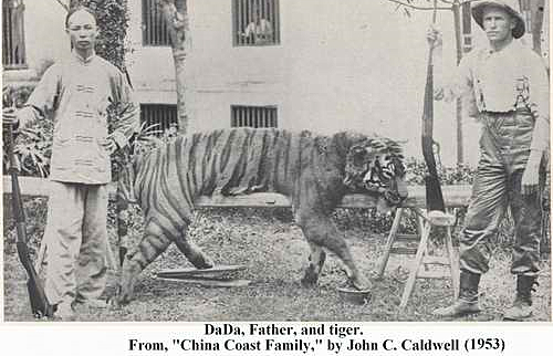 Image of King George V Shooting Tigers in Nepal, 1911 (b/w photo