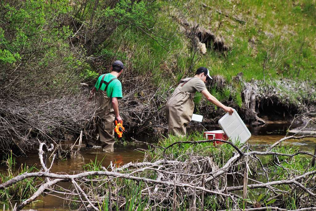 Watershed Management Biologists Derek Maki and Garen - NARA & DVIDS ...