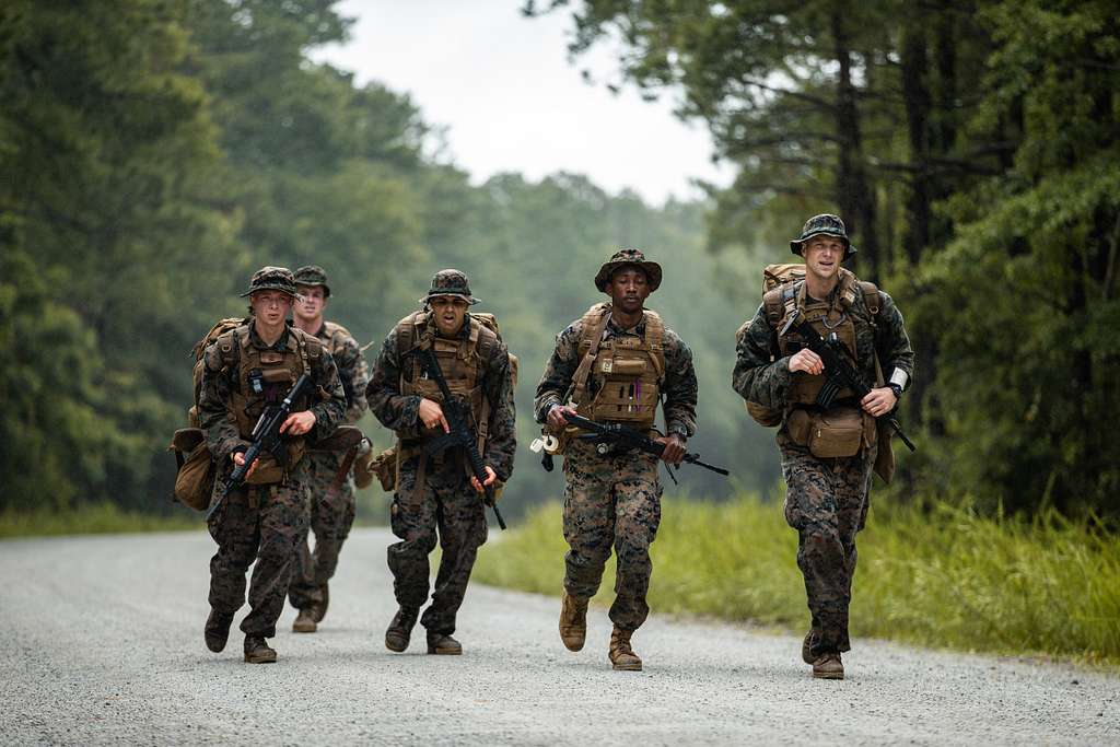 U.S. Navy hospital corpsmen with 2d Battalion, 2d Marine - PICRYL ...