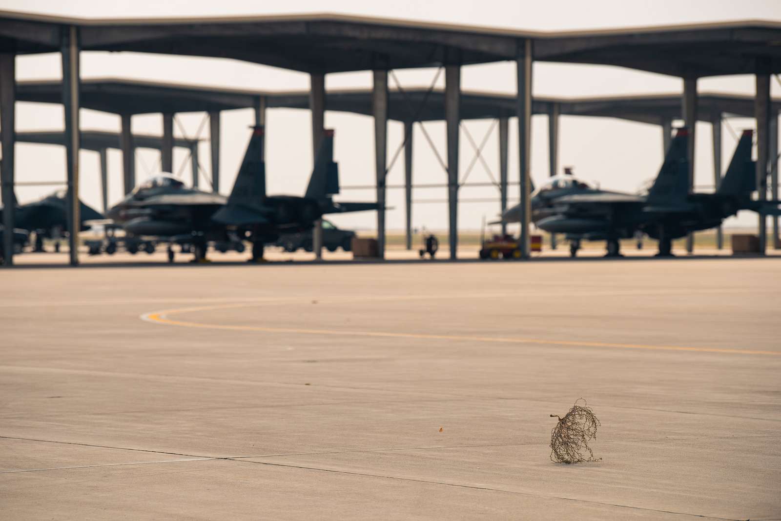 U S Air Force F E Strike Eagles Park In The Shade Nara Dvids Public Domain Archive Public