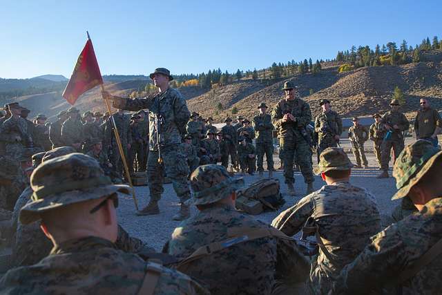 U.S. Marine Corps Sgt. Maj. David Elliott, sergeant - PICRYL Public ...