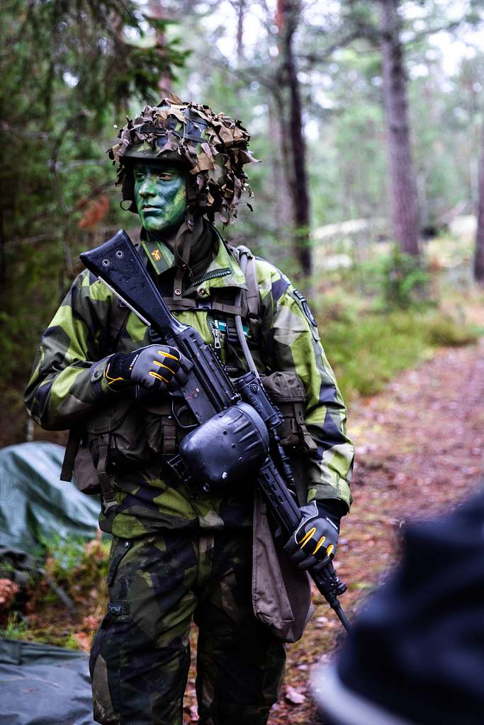 A Soldier from the Swedish Home Guard conducts a patrol - NARA & DVIDS ...
