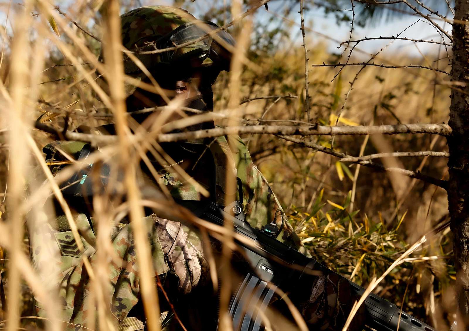 An Infantryman With The 30th Infantry Regiment 12th Nara And Dvids