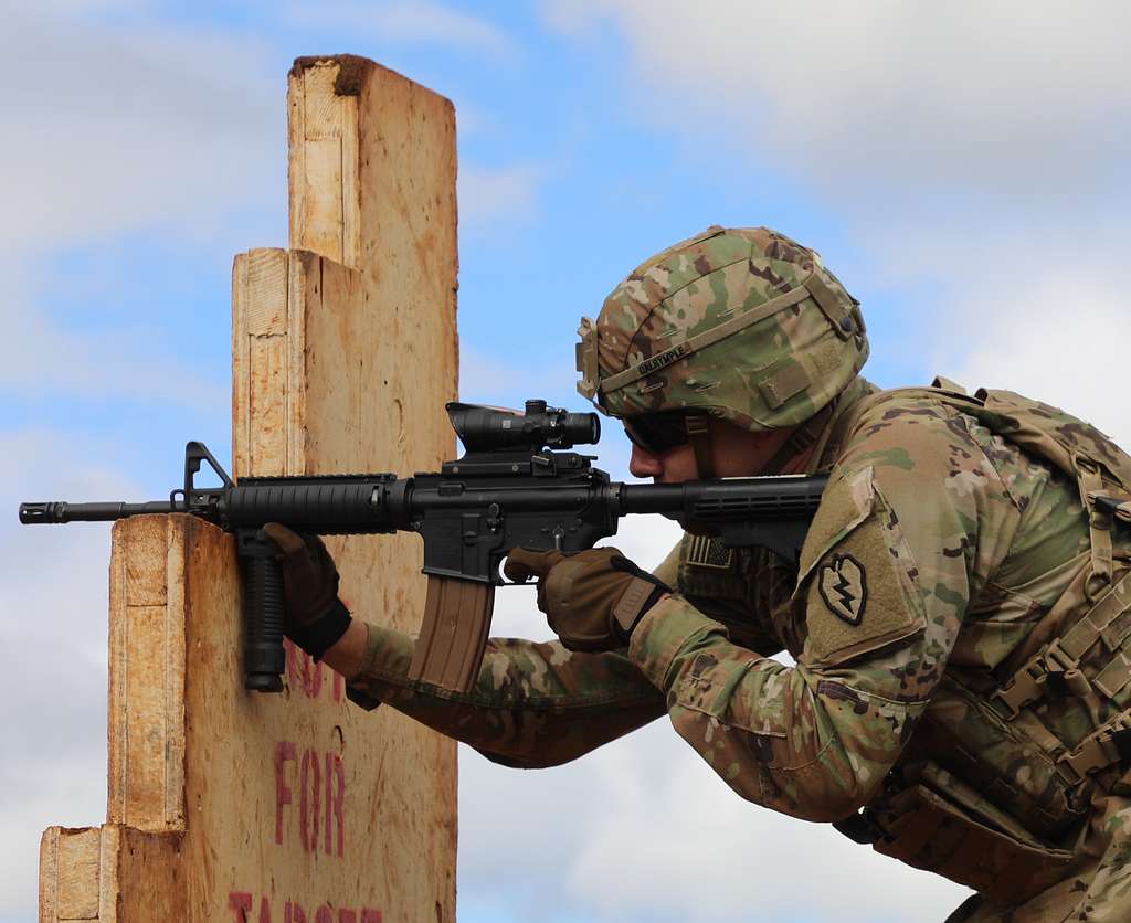 A soldier with 209th Aviation Support Battalion aims - NARA & DVIDS ...