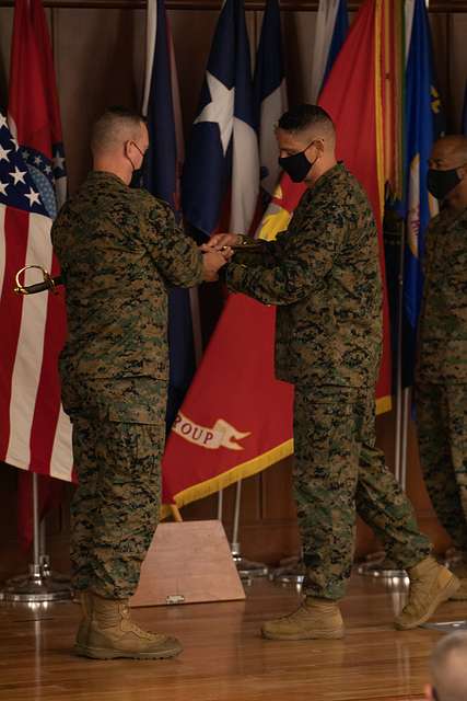 U.S. Marine Sgt. Maj Carlos Ruiz, sergeant major of - PICRYL - Public  Domain Media Search Engine Public Domain Search