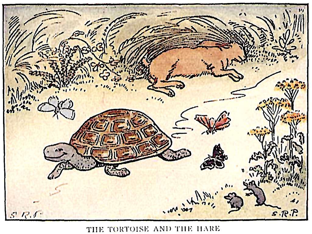 Иллюстрация к рассказу черепаха толстой