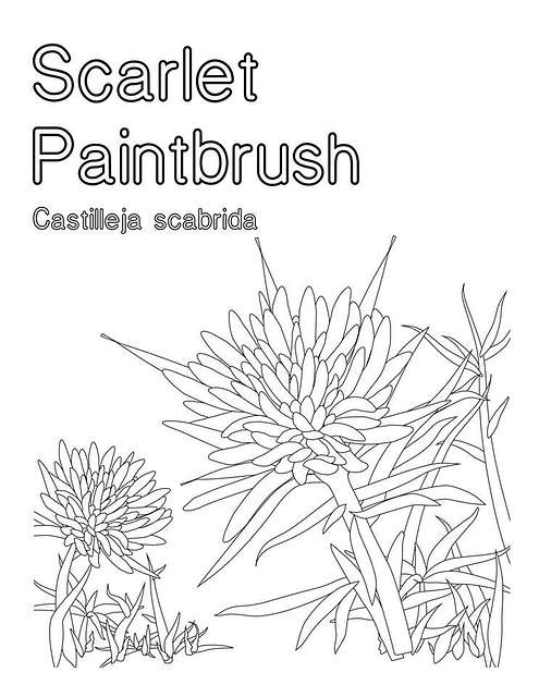 paintbrush coloring page