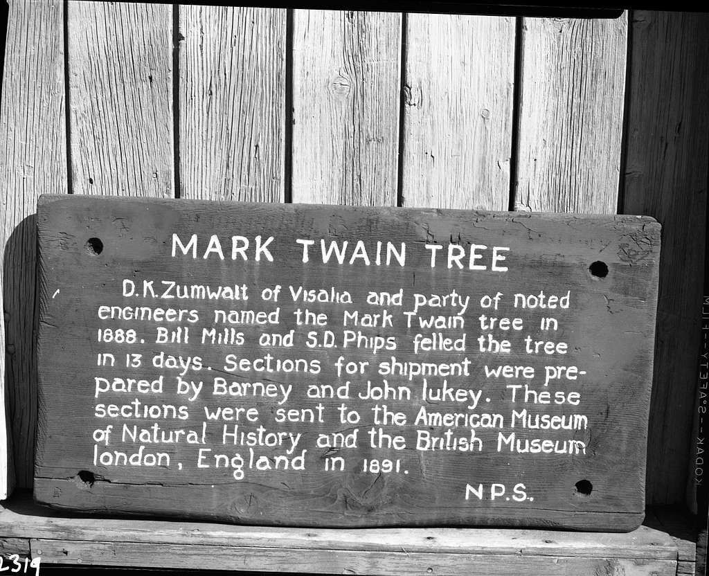 Signs, Mark Twain Tree. - Public Domain image, National Parks Gallery ...