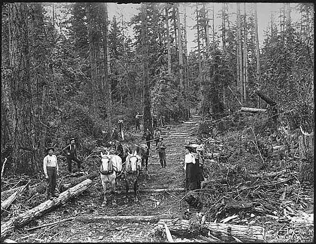 Staff Sgt. John McLaughlin leads the Seattle Seahawks onto the