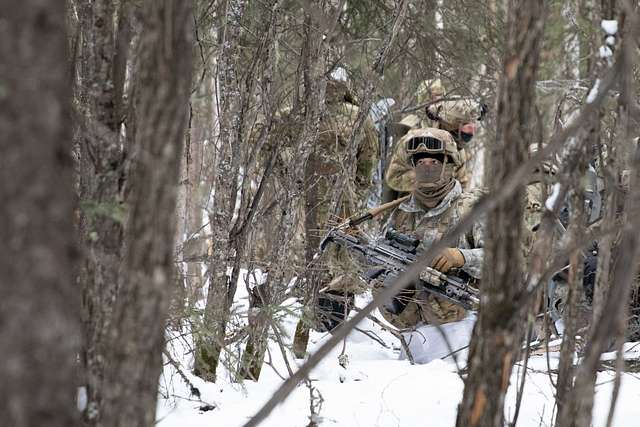 A paratrooper with 3rd Battalion, 509th parachute infantry - PICRYL ...