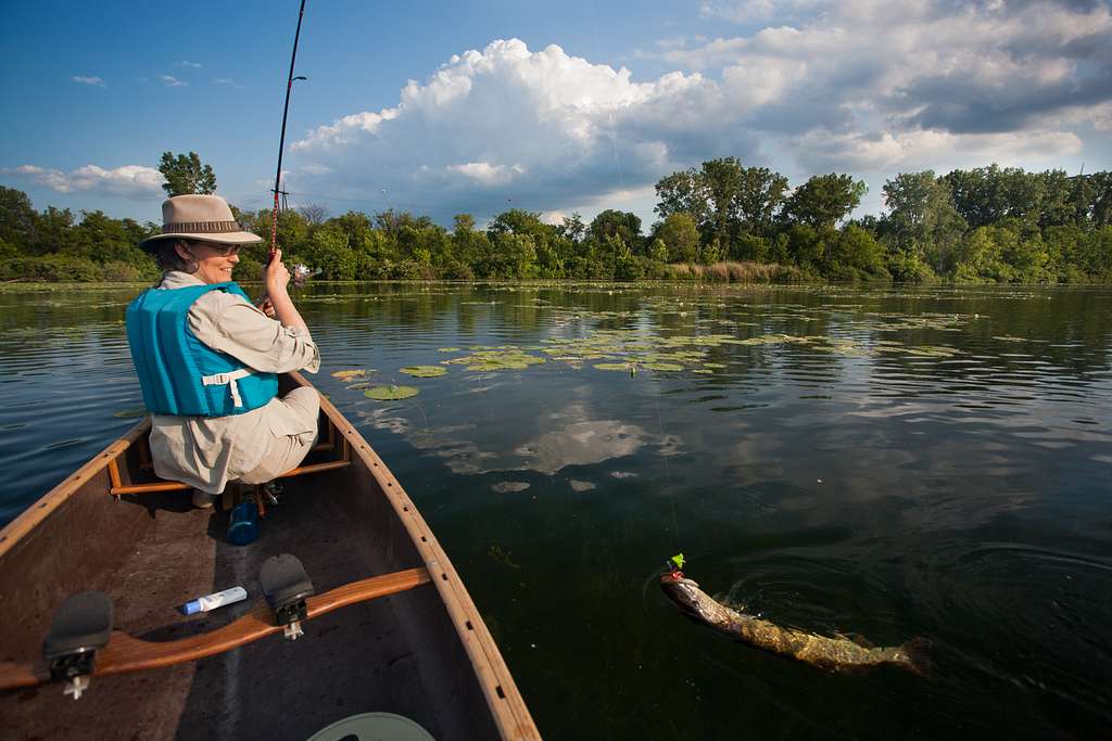 How to Get the Most Out of Fishing by Canoe - LiveOutdoors