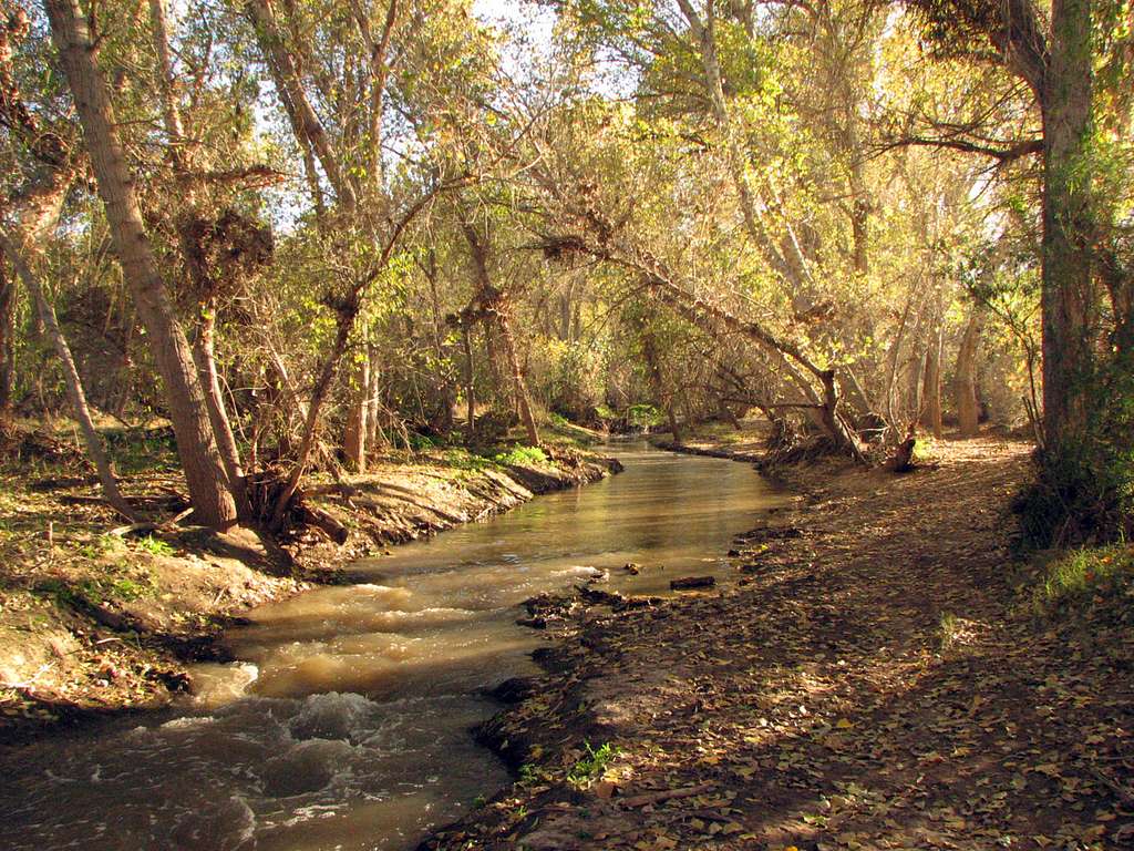 Santa Cruz River and Anza Trail PICRYL Public Domain Media