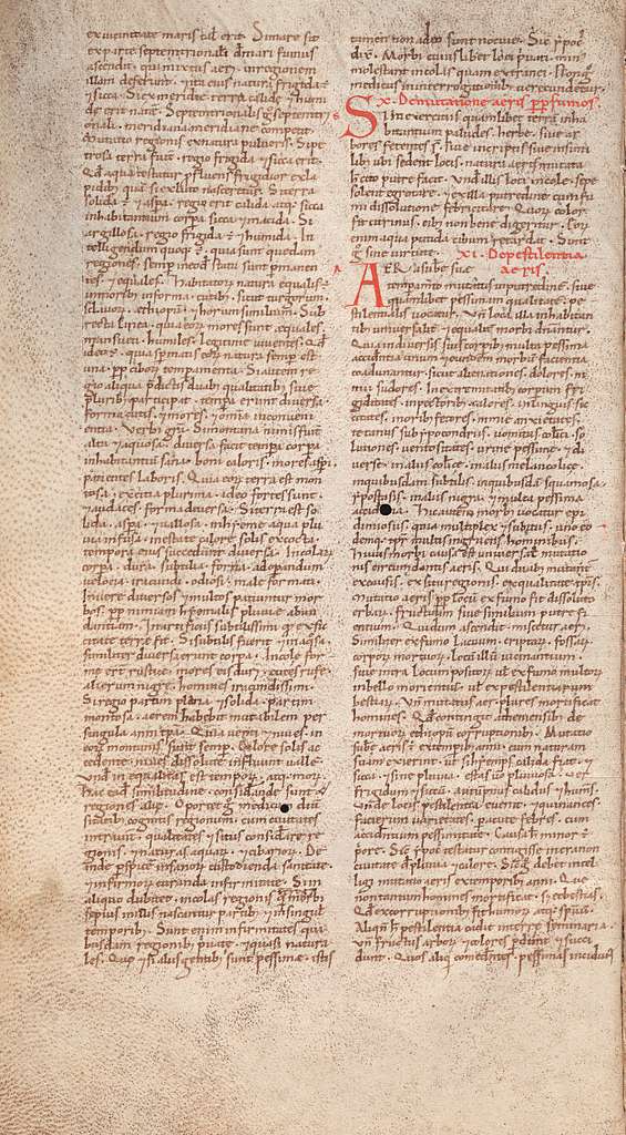 Basel, Universitätsbibliothek, AN II 36, f. 37v – Biblia germanica, 1st  part - PICRYL - Public Domain Media Search Engine Public Domain Search