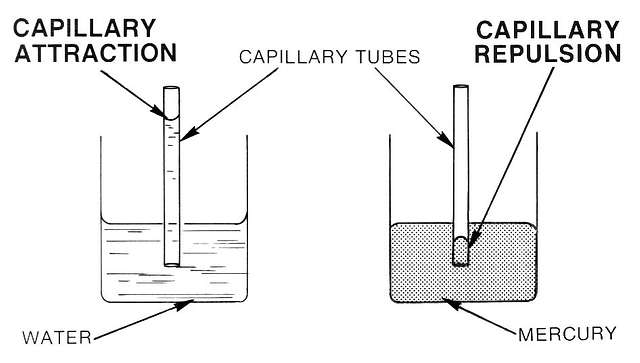 capillary action diagram