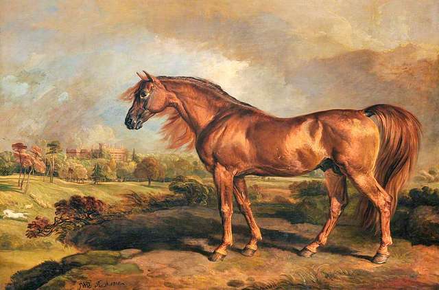 James Ward (1769-1859) - A Chestnut Stallion in the Grounds of Powis ...