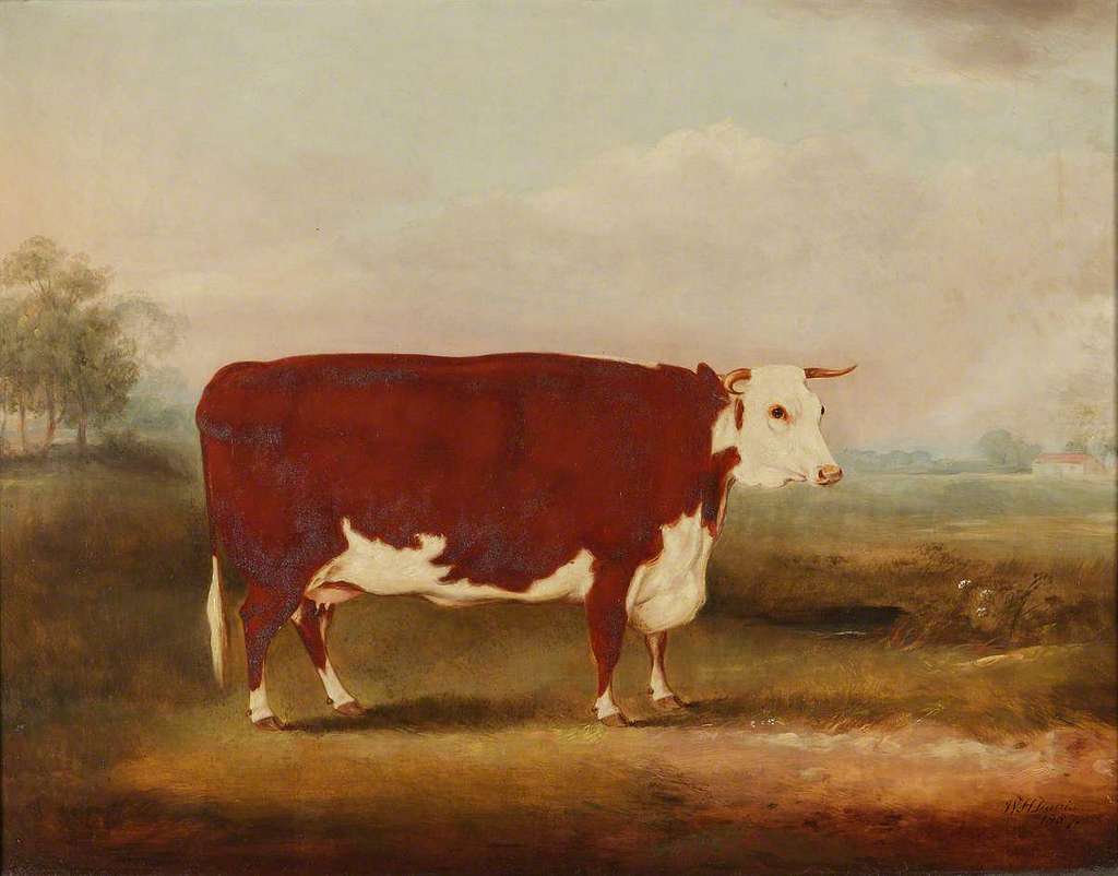 File:William Henry Davis (1786-1865) - Prize Cow and Calf - 609118