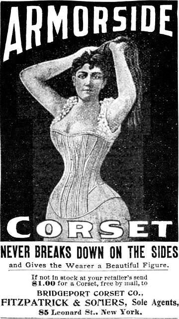 1894 Ad Gage Down Company Chicago Waist Corset Victorian Woman World F –  Period Paper Historic Art LLC
