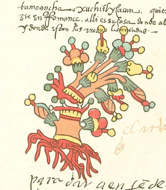 5 Figures In Codex Telleriano Remensis Image: PICRYL