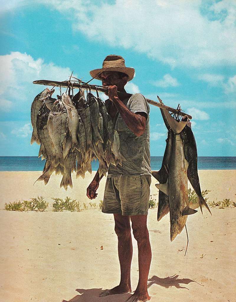 8 Fishing in seychelles Images: PICRYL - Public Domain Media