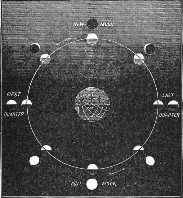 File:Phases of the Moon.png - Wikimedia Commons