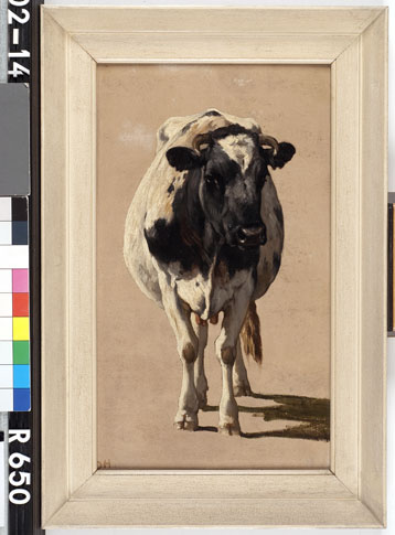 Hereford Bull: 'Walford' by William Henry Davis Reproduction