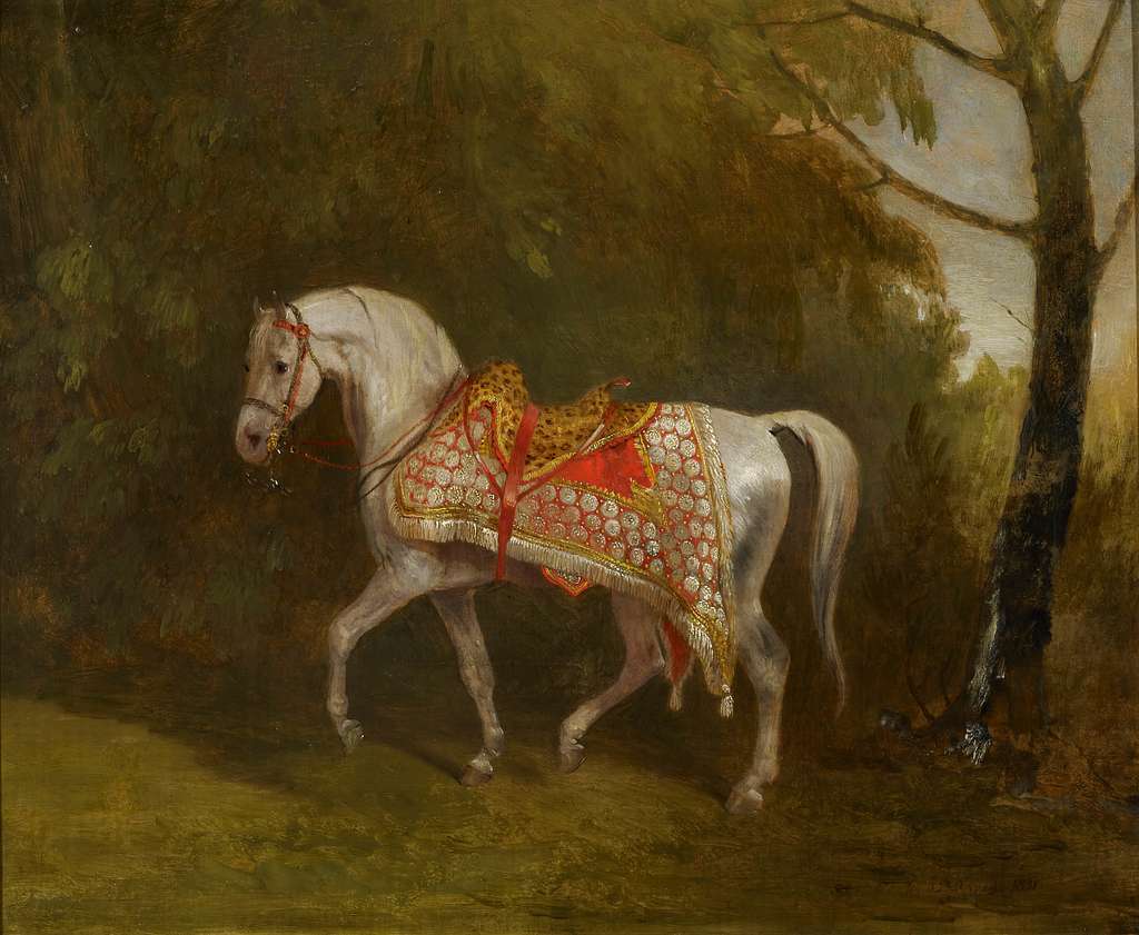 Richard Barrett Davis (1782-1854) - A Cream Horse - RCIN 407442 - Royal  Collection - PICRYL - Public Domain Media Search Engine Public Domain Image