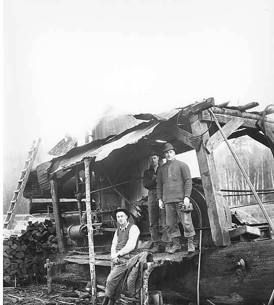 English: Men, women and dog with Wynooche Timber Company 0-6-4 side-tank  locomotive no. 1, Montesano, ca. 1921 . English: Caption on image: No. 11  PH Coll 516.5181 The Wynooche Timber Company