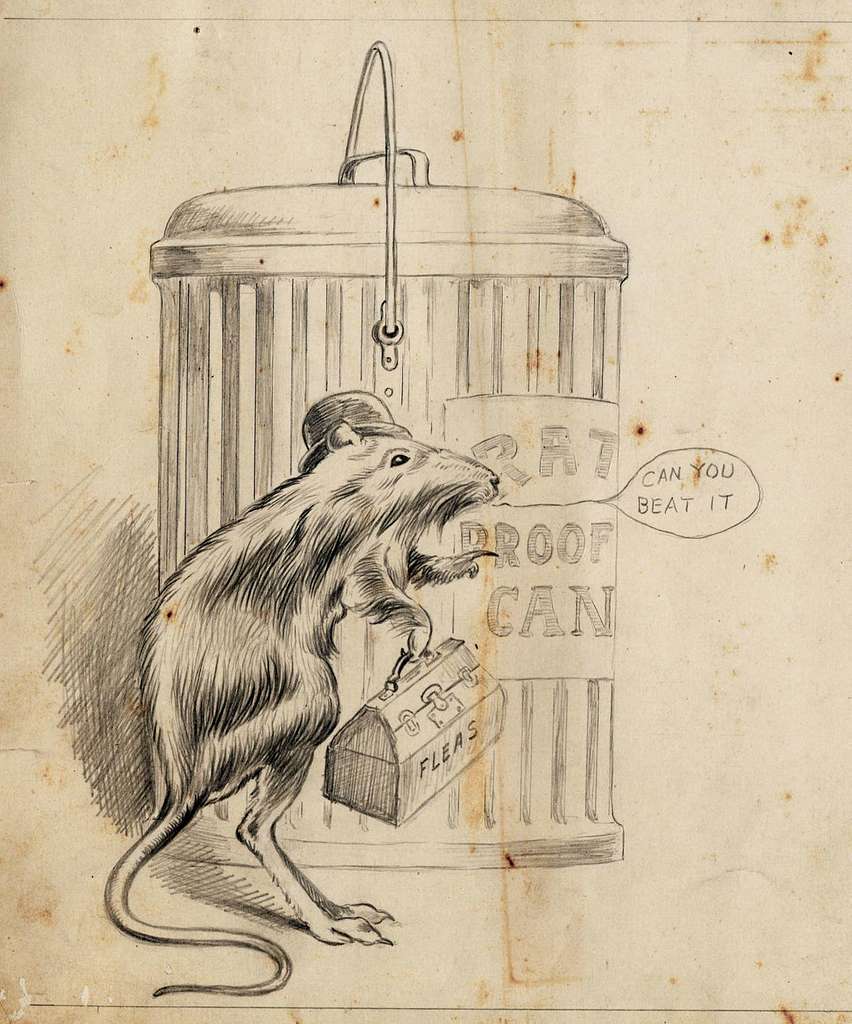 No, This Is Not a Cartoon, We Really Did Use 'Cannons' to Get Rid of  Rodents in the 19th Century