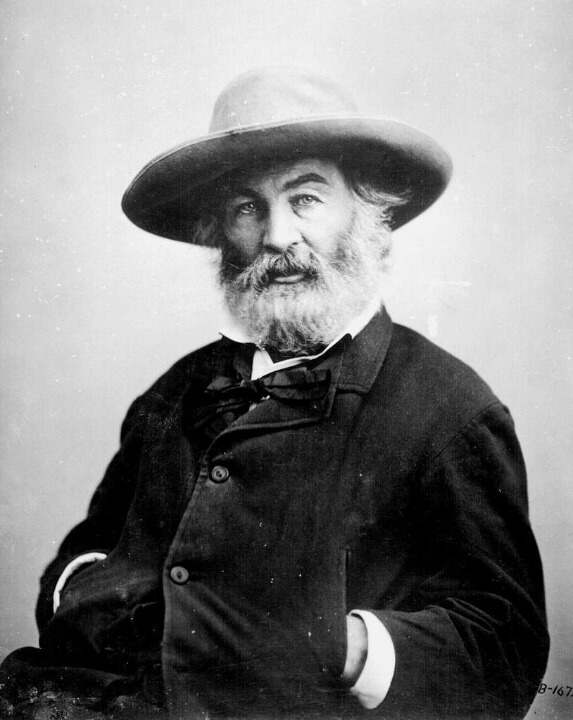 Walt Whitman and the fake butterfly