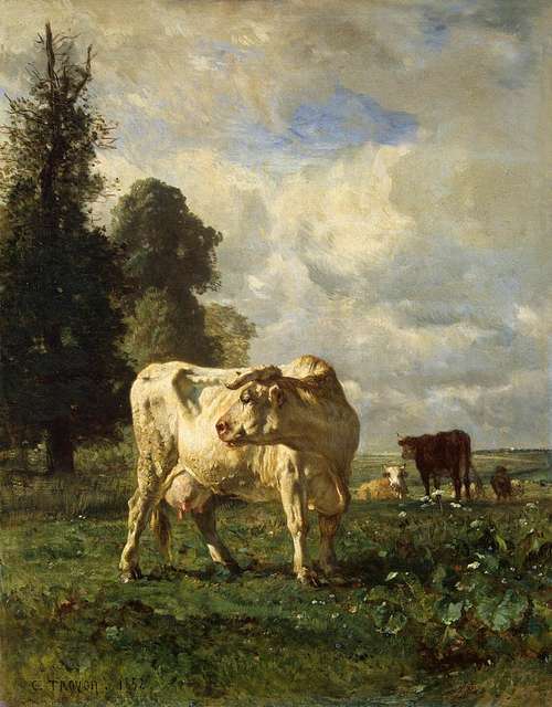 https://cdn2.picryl.com/photo/2021/12/11/constant-troyon-cows-in-the-field-wga23095-3de59d-640.jpg